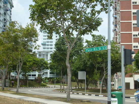 Pasir Ris Street 53 #72032
